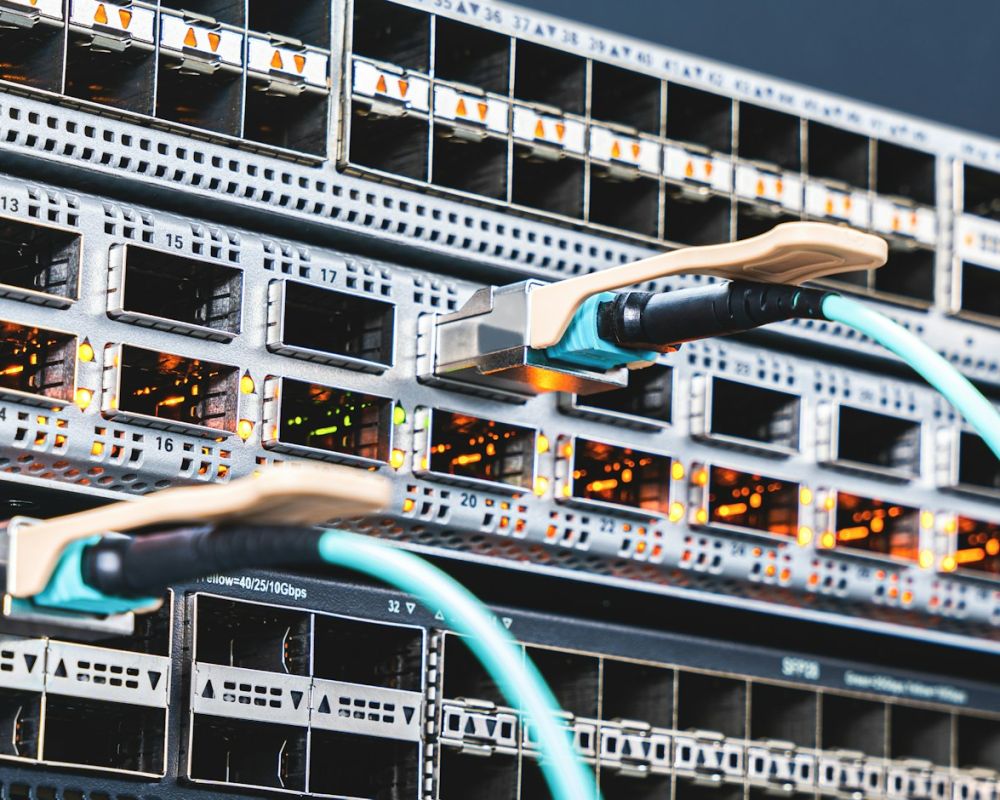 Network switch ports with cables plugged in